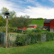 Noch keine Lust aufs Ernten